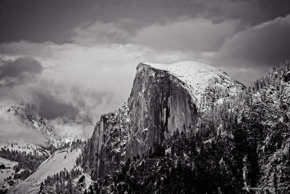 Yosemite Half Dome Black and White